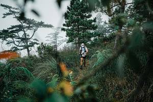 BIB: 
                            <button type="button" onclick="openModal(25258951)" class="btn btn-primary btn-sm float-right btn-popup" data-toggle="modal" data-target=".modal-high-quality">
                        <i class="fas fa-shopping-cart"></i> Add to Cart
                    </button>
                                            <button type="button" onclick="isThisMe(25258951, true)" class="btn btn-success btn-sm float-right btn-popup btn-isme hidden" data-toggle="tooltip" data-placement="bottom" title="นี่คือรูปของคุณใช่ไหม คลิกที่นี่เพื่อเอาเข้าอัลบั้ม">
                        <i class="fas fa-plus"></i> Add to album
                    </button>
                    <button type="button" onclick="isThisMe(25258951, false)" class="btn btn-warning btn-sm float-right btn-popup btn-isnotme hidden">
                        <i class="fas fa-ban"></i> Remove from album
                    </button>